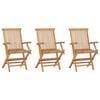 vidaXL Chaises de jardin pliables lot de 3 Bois de teck massif