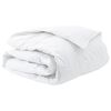 vidaXL Duvet d'hiver 200 x 200 cm Hiver Plume Blanc Respirant