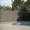 vidaXL Panier gabion avec couvercle 450x100x200 cm fer galvanisé