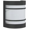 vidaXL Applique murale d'ext&eacute;rieur noir acier inoxydable