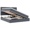 vidaXL Lit de rangement LED avec matelas Gris fonc&eacute; 160 x 200 cm
