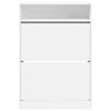 vidaXL Armoire &agrave; chaussures 2 tiroirs rabattables blanc 80x34x116 cm