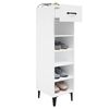 vidaXL Armoire &agrave; chaussure Blanc brillant 30x35x105 cm Bois ing&eacute;nierie