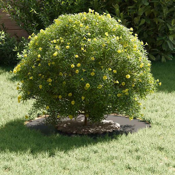 vidaXL adapté pour anneaux d'arbre plats 5 pcs Noir Ø30 / 60 cm Acier