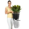 LECHUZA Jardini&egrave;re CLASSICO LS 28 ALL-IN-ONE blanc brillant 16040