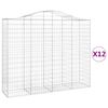 vidaXL Paniers &agrave; gabions arqu&eacute;s 12 pcs 200x50x160/180 cm Fer galvanis&eacute;