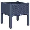 Blue_grey