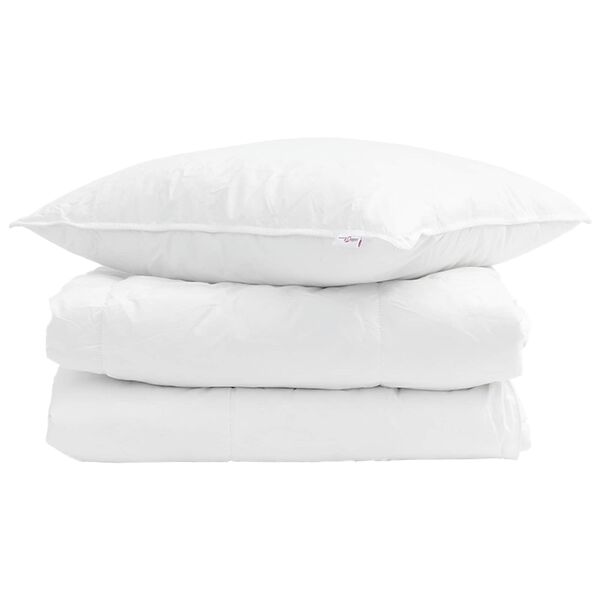 vidaXL Duvet d'&eacute;t&eacute; simple avec oreiller 2 pcs Blanc Plume de canard