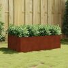 vidaXL Lit sur&eacute;lev&eacute; de jardin 120x80x40 cm acier corten