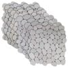 vidaXL Carreaux de galets Blanc 30 x 30 cm Galets de rivi&egrave;re