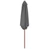 vidaXL Parasol d'ext&eacute;rieur avec m&acirc;t en bois 270 cm Anthracite