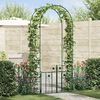 vidaXL Arche de jardin avec verrouillage Vert 203 x 50 x 218 cm