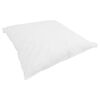 vidaXL Duvet d'&eacute;t&eacute; simple avec oreiller 2 pcs Blanc Plume de canard