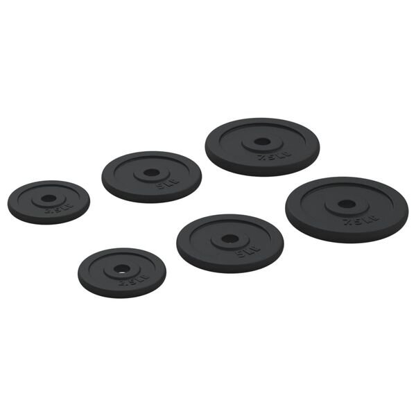 vidaXL Plaques de poids 6 pcs 30 kg Fonte