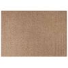 vidaXL Tapis de surface AGIRA Naturel 170 x 120 cm Polyester
