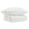 vidaXL Ensemble de couette 90 % en duvet d&rsquo;oie FULDA 2 pc 135 x 200 cm