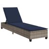 vidaXL Transat avec coussins gris 55 x 200 x 25,5 cm en rotin synth&eacute;tique