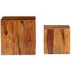 vidaXL Ensemble de table basse 2 pcs Bois massif 40x40x40 cm