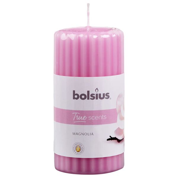 Bolsius Bougies parfum&eacute;es pilier c&ocirc;tel&eacute; 6 pcs 120x58 mm Magnolia