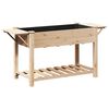 vidaXL Cache-pot de jardin Beige 155 x 59 x 76,5 cm