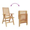 vidaXL Chaises de jardin 2 pcs Marron 52 x 64,5 x 108 cm
