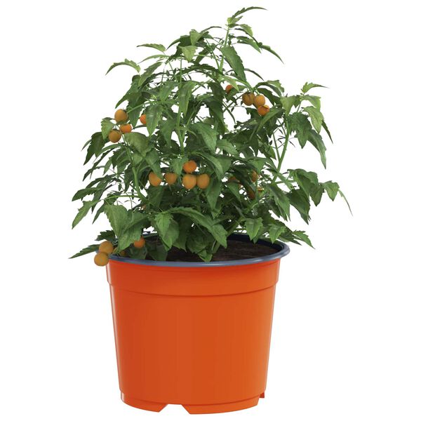 vidaXL Pot &agrave; fleurs 50 pcs C&eacute;ramique &Oslash; 15 x 12,5 cm Plastique