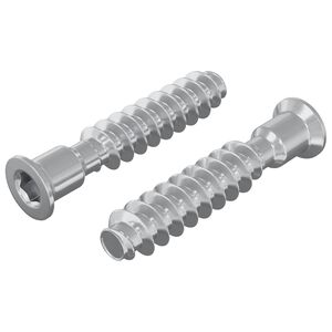 vidaXL Vis &agrave; t&ecirc;te cap 2 pcs Argent&eacute; M7 x 40 mm Acier
