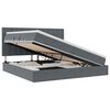 vidaXL Lit de rangement LED avec matelas Gris fonc&eacute; 200 x 200 cm
