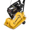 vidaXL Compacteur &agrave; plaque vibrante 196 CC 63 kg 12,1 Kn