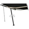 vidaXL Auvent manuel r&eacute;tractable avec LED 300x250 cm Anthracite