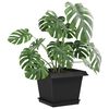 Vignette du produit 3 sur 10