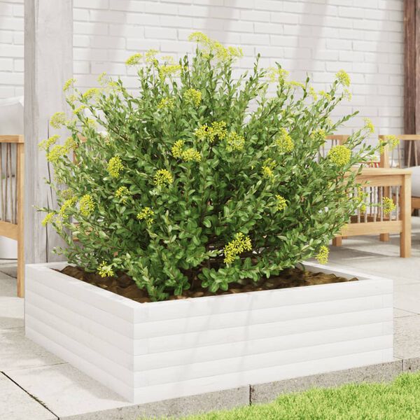 vidaXL Jardini&egrave;re blanc 80x80x23 cm bois de pin massif