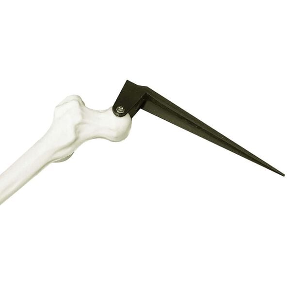 vidaXL Squelette d'Halloween Blanc 45,5 x 13 cm Plastique