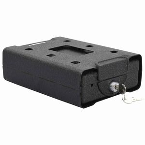 vidaXL Coffre de voiture avec verrouillage Noir 21.8 x 16 x 7 cm Acier