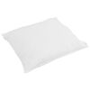 vidaXL Duvet d'&eacute;t&eacute; simple avec oreiller 2 pcs Blanc Plume de canard