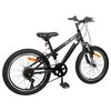 vidaXL Kids Mountain Bike 20 Pouces 6-Speed pour 5-8 ans Noir
