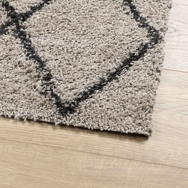 vidaXL Tapis shaggy à poils longs moderne beige anthracite 160x230 cm