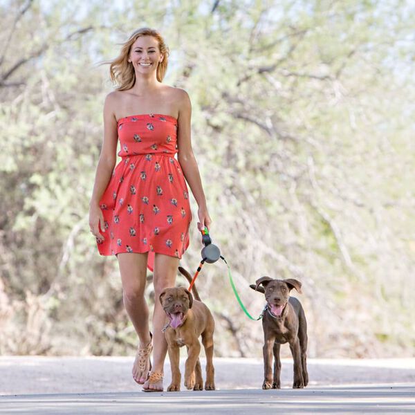 Wigzi Laisse double r&eacute;tractable pour chien 2.0 Gris