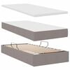 vidaXL Lit avec rangement et LED avec matelas Taupe 100 x 200 cm tissu