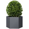 vidaXL Jardini&egrave;re anthracite hexagone 69x60x45 cm acier