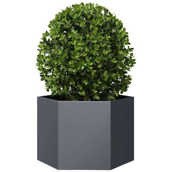 vidaXL Jardini&egrave;re anthracite hexagone 69x60x45 cm acier