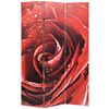 vidaXL Cloison de s&eacute;paration pliable 120 x 170 cm Rose rouge
