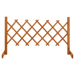 vidaXL Cl&ocirc;ture en treillis de jardin Orange 120x60 cm Bois de sapin