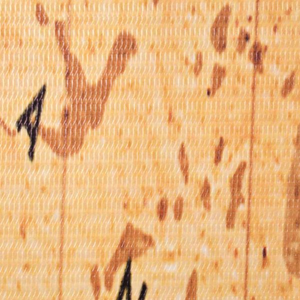 vidaXL Cloison de s&eacute;paration pliable 120 x 170 cm Carte du monde Jaune