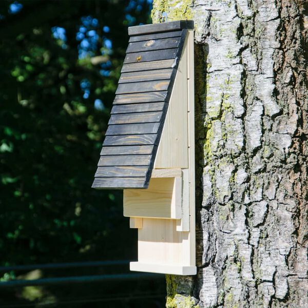 dobar green label Maison pour chauves-souris naturel et noir