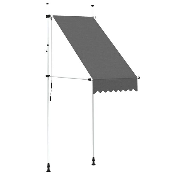 vidaXL Auvent manuel rétractable 100 cm anthracite