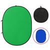 vidaXL &Eacute;cran de fond de studio ovale 2 en 1 Vert et bleu 200x150 cm