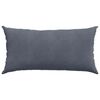 vidaXL Coussins de canap&eacute; 2 pcs Gris fonc&eacute; 80 x 40 cm