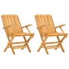vidaXL Chaises pliantes (lot de 2) 61 x 67 x 90 cm, bois massif de teck