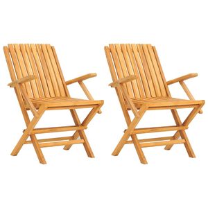 vidaXL Chaises pliantes (lot de 2) 61 x 67 x 90 cm, bois massif de teck